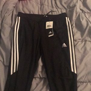 Adidas trifoil sweats